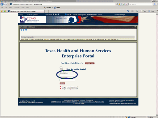 Screenshot of Enterprise Portal Logon page